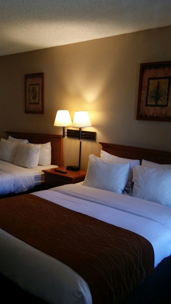Quality Inn Palm Springs Downtown Exterior foto